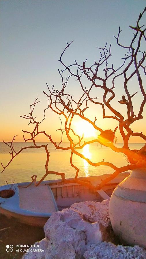 Sea Sound Villa Agios Dimitrios  外观 照片