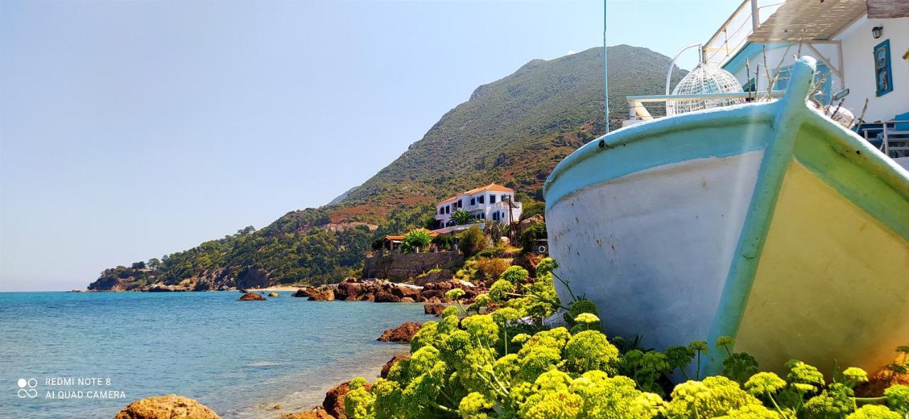 Sea Sound Villa Agios Dimitrios  外观 照片